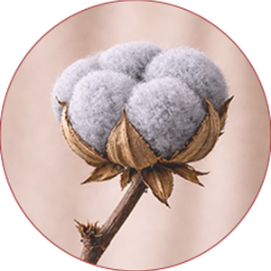 <p><strong>Grey</strong></p>