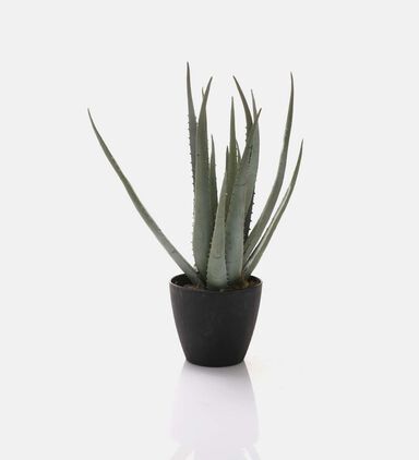 Aloe Vera Artificial Round Pot