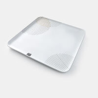 Society Ceramic Serving Plate