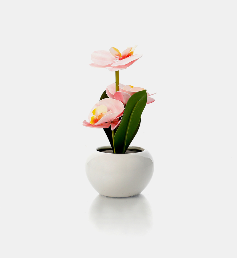 Ceramic Pot Artificial Led Orchid