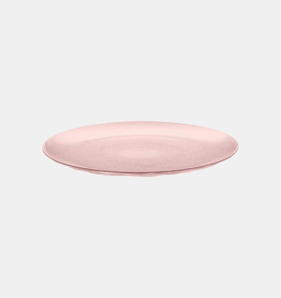Plastic Organic Dinner Plate