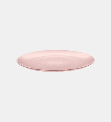 Plastic Organic Dinner Plate