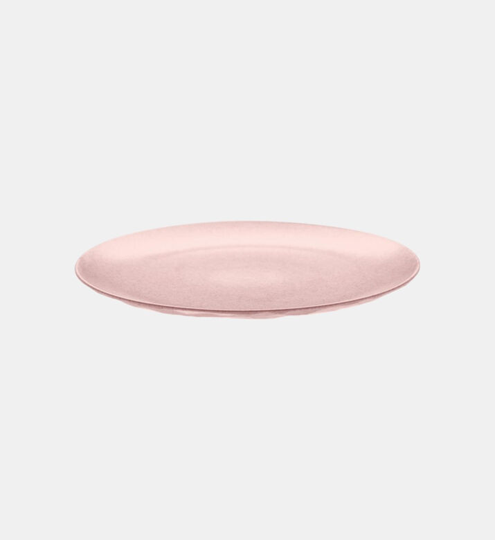 Plastic Organic Dinner Plate