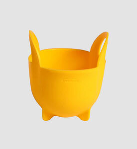 Plastic 12 Single Egg Poacher