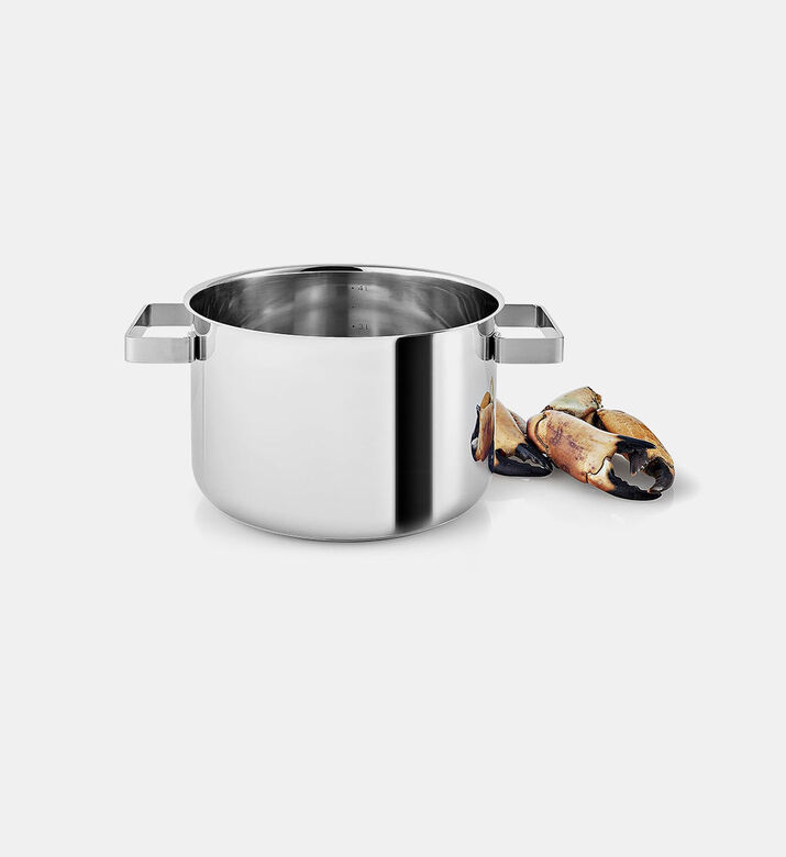 Stainless Steel Stock Pot
