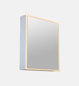 Rectangular Lighted Bathroom Mirror Cabinet