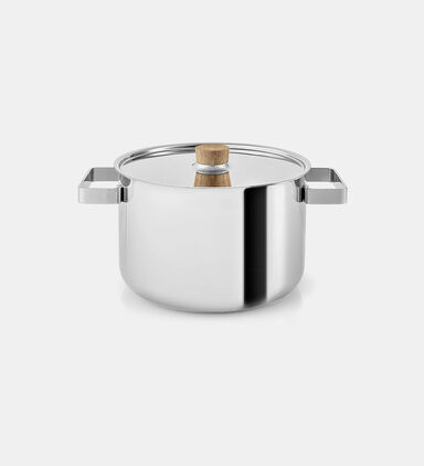 Stainless Steel Stock Pot