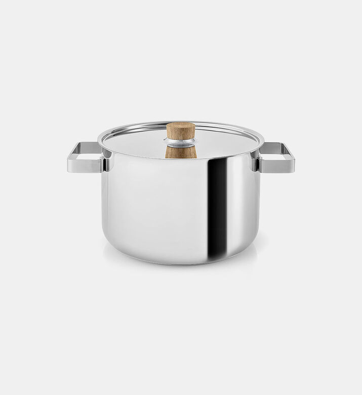 Stainless Steel Stock Pot