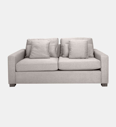 Samsee Fabric Pull-out Bed Sofa