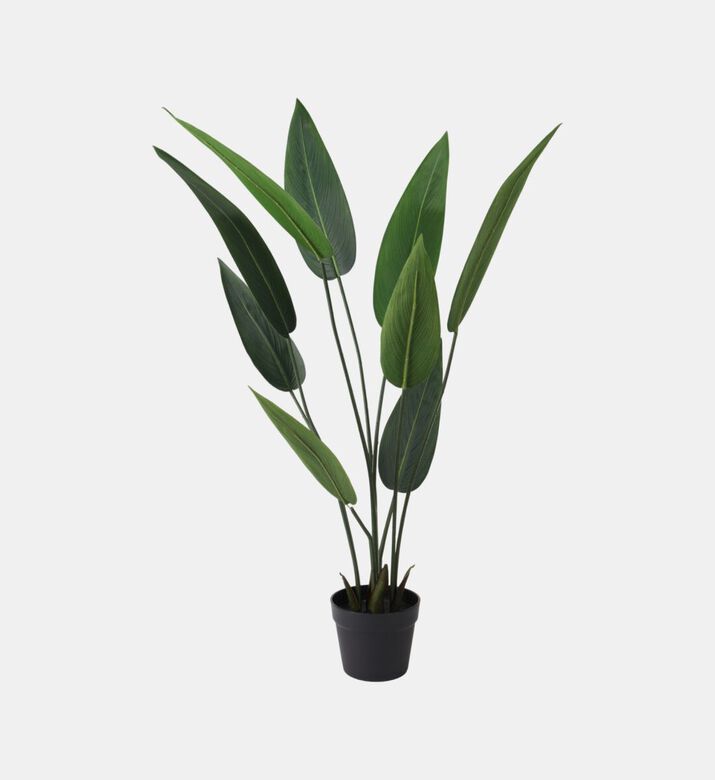 Home Deco and More Artificial Plant-in-pot, Packshot View