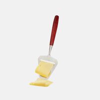 Stainless Steel Cheese Slicer
