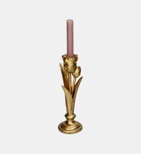 Tulip Polyresin Candle Stick - 11 X 9 X 27.5 Cm