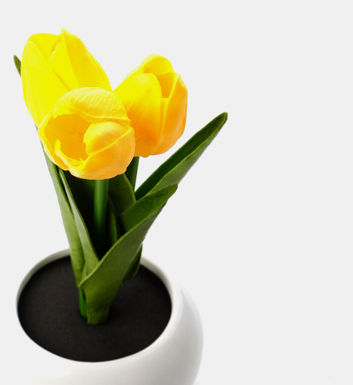 Home Deco and More Led Artificial Tulips-in-pot, Packshot View