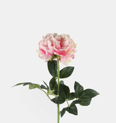 Paeonia Rosaline Faux Branch