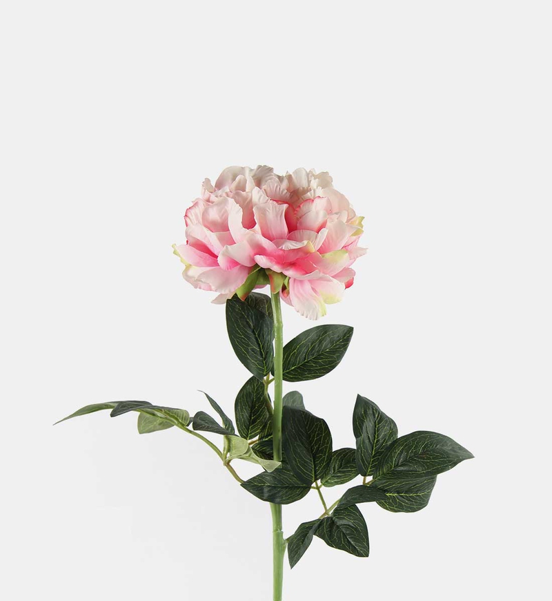 Paeonia Rosaline Faux Branch