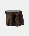 Tefon Acacia Wood Trunk Side Table