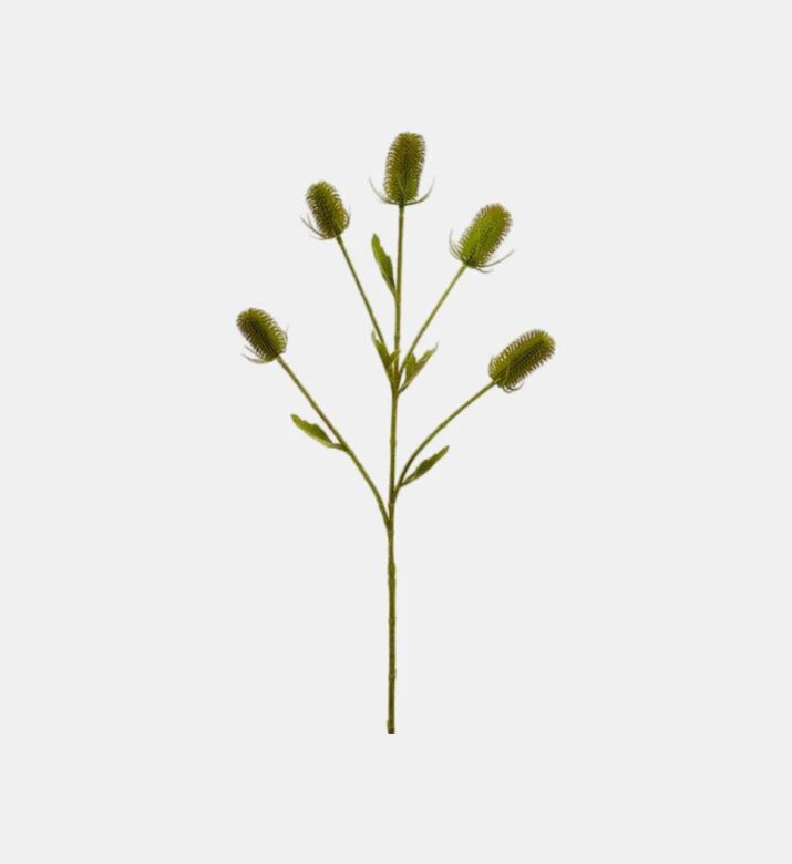 Edg Cardo Ramo Faux Branch, Green, Packshot View