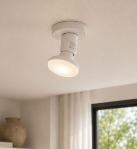 Brilliant R50 Easydim Glass Led Lamp, Packshot View