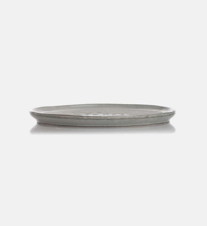 Ceramic Dinner Plate