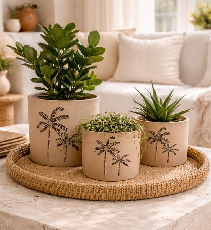 Home Deco and More Pottery 3-piece Pot Set, Packshot View