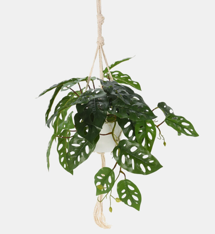 Home Deco and More Artificial Hanging Plant, Packshot View