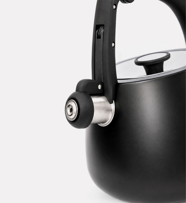 Home Deco and More Fast-heating Whistling Kettle, Packshot View