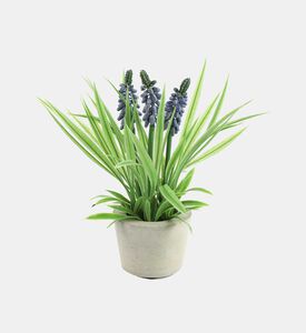 Muscari Faux Flower Pot