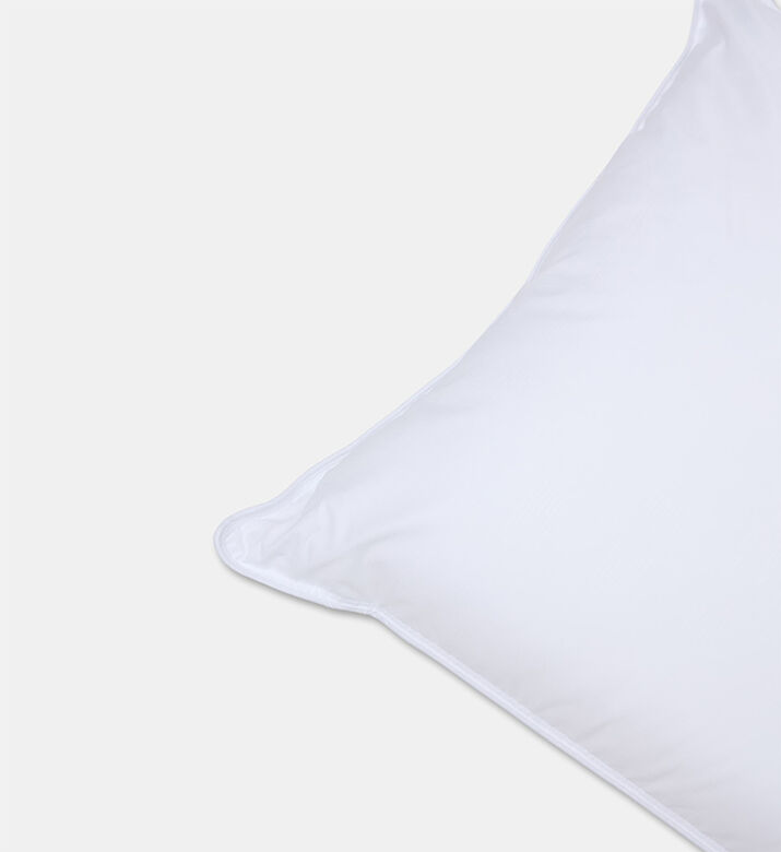 Home Deco and More Ted Pillow S2, Packshot View