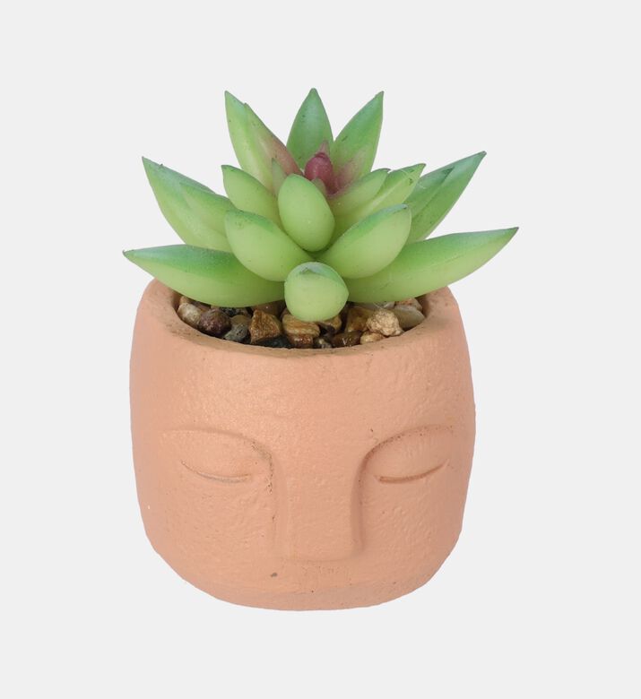 Artificial Plant-in-cement Pot