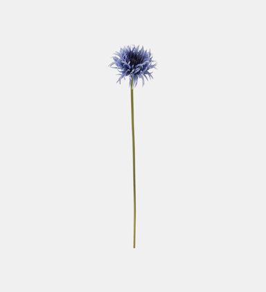 Gerbera Fish Fresh Flower 68 Cm
