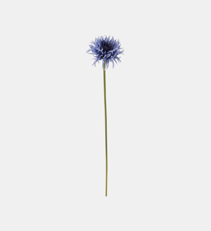 Gerbera Fish Fresh Flower 68 Cm
