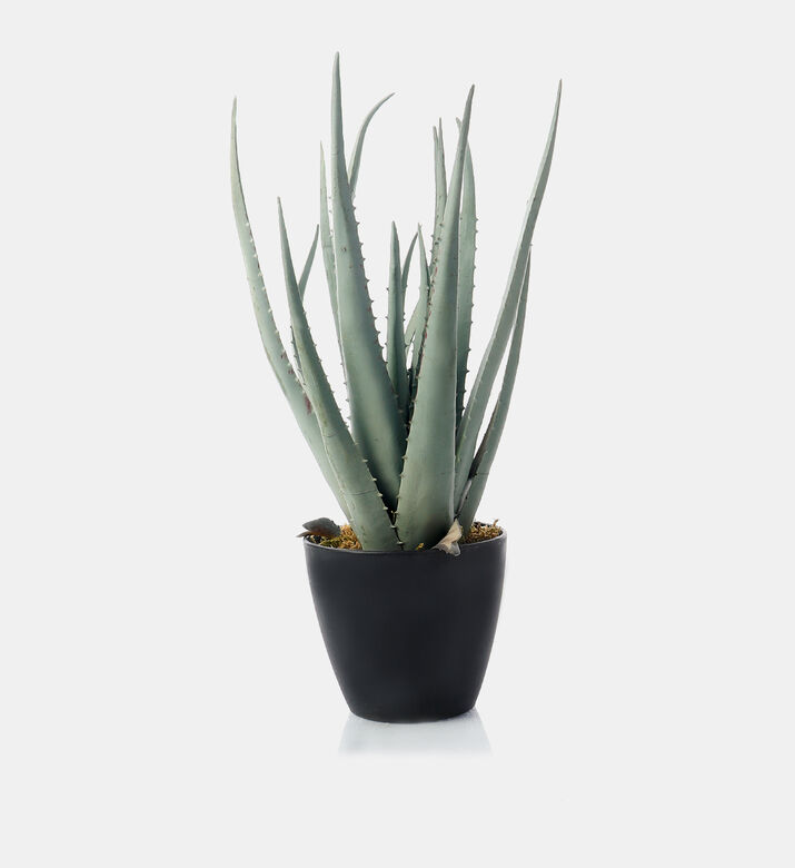 Artificial Aloa Vera Pot