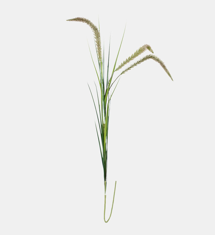 Festuca Spiga Faux Branch