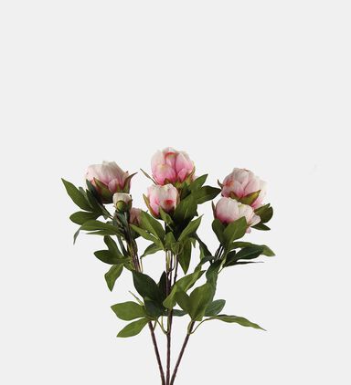 Paeonia Rosa Faux Flower Bunch
