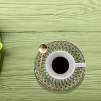 Oliva Coffee Cup Saucer Set