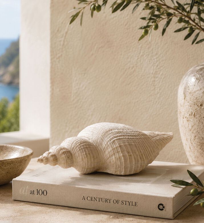 Home Deco and More Shell-inspired Decorative Piece, Packshot View