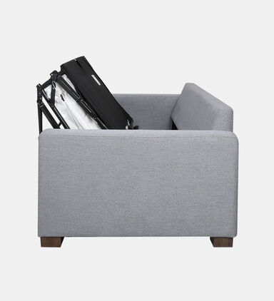 Samsee Fabric Pull-out Bed Sofa