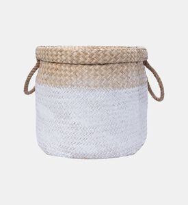 Seagrass Multi-color Basket
