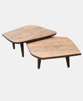 Gia Coffee Table 2-piece Set