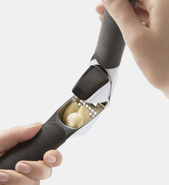 Stainless Steel Garlic Press