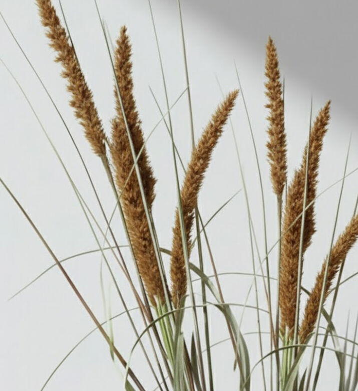 Decostar Alopecurus Artificial Flower, Brown, 117-cm, Packshot View