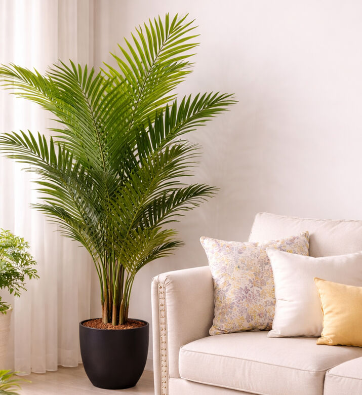 Home Deco and More Artificial Palm Tree Pot, Packshot View