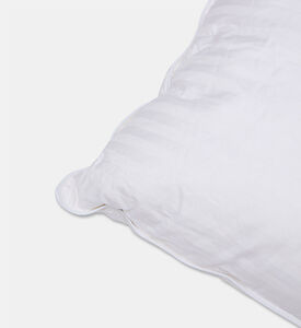 Home Deco and More Aurora Feather Pillow, Packshot View