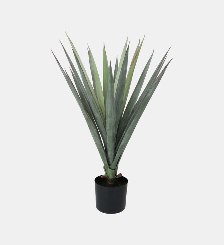 Artificial Sisal Plant-in-pot