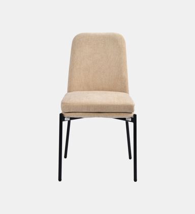 Sky Plywood Steel Dining Chair