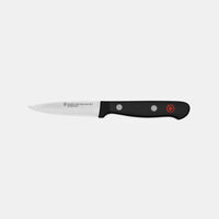 Gourmet Stainless Steel Pairing Knife