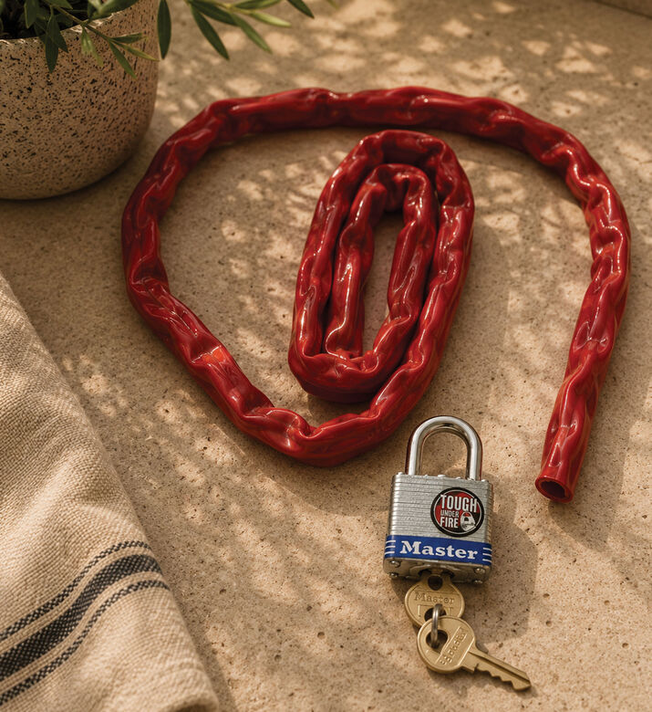 Master Lock Stainless Steel Padlock, Packshot View