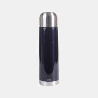 Metal Insulated Water Bottle