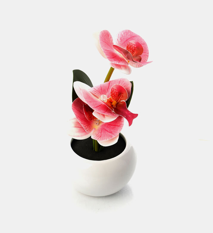 Ceramic Pot Led Orchid Ceramic Pot Led Orchid