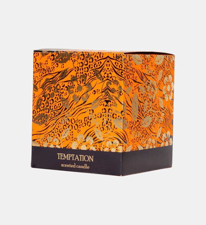 Snake Metal Candle Jar 350 Gr